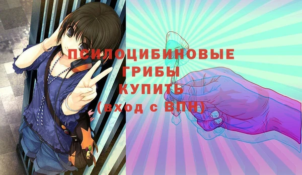 соль курить ск Медвежьегорск