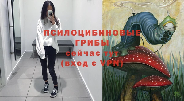 винт Алексеевка