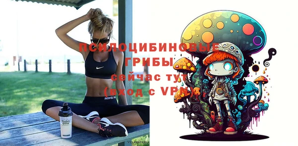 винт Алексеевка